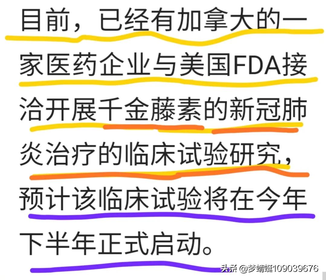 千金藤素：谁能主先锋？