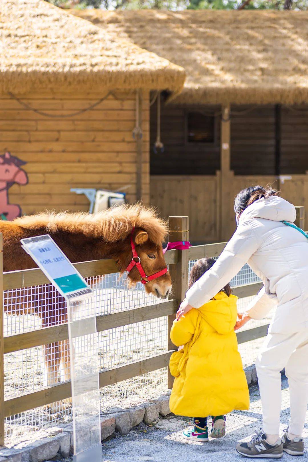 杭州千岛湖景区二日游,杭州市千岛湖开元度假村