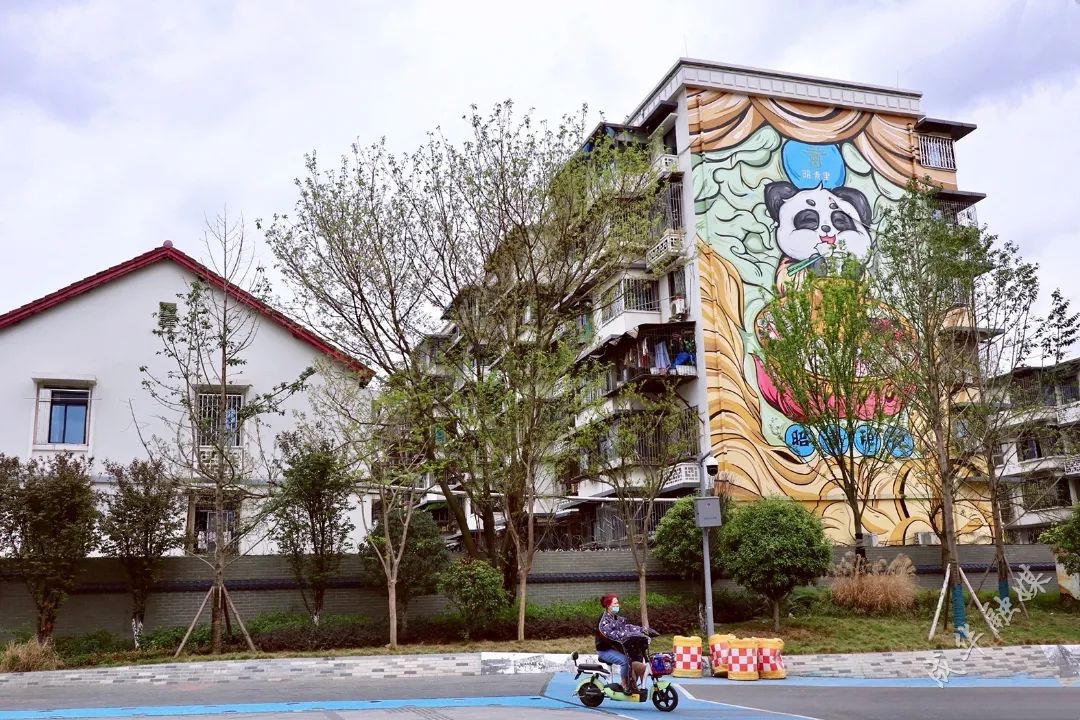 幸福生活“巷”往时光|城市更新下的烟火青龙→|成华融媒