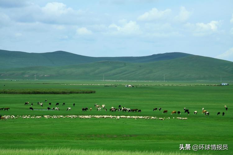 内蒙古的蒙古族有多少人,内蒙古有多少真正的蒙古族人