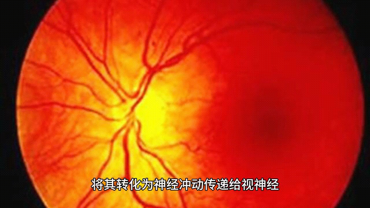 大脑天赋训练方法,五个技巧提升大脑智商