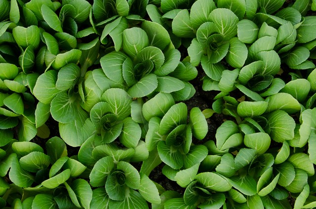 放假回家我给未见过面的侄子一千，弟媳妇嫌少，母亲：把钱收起来