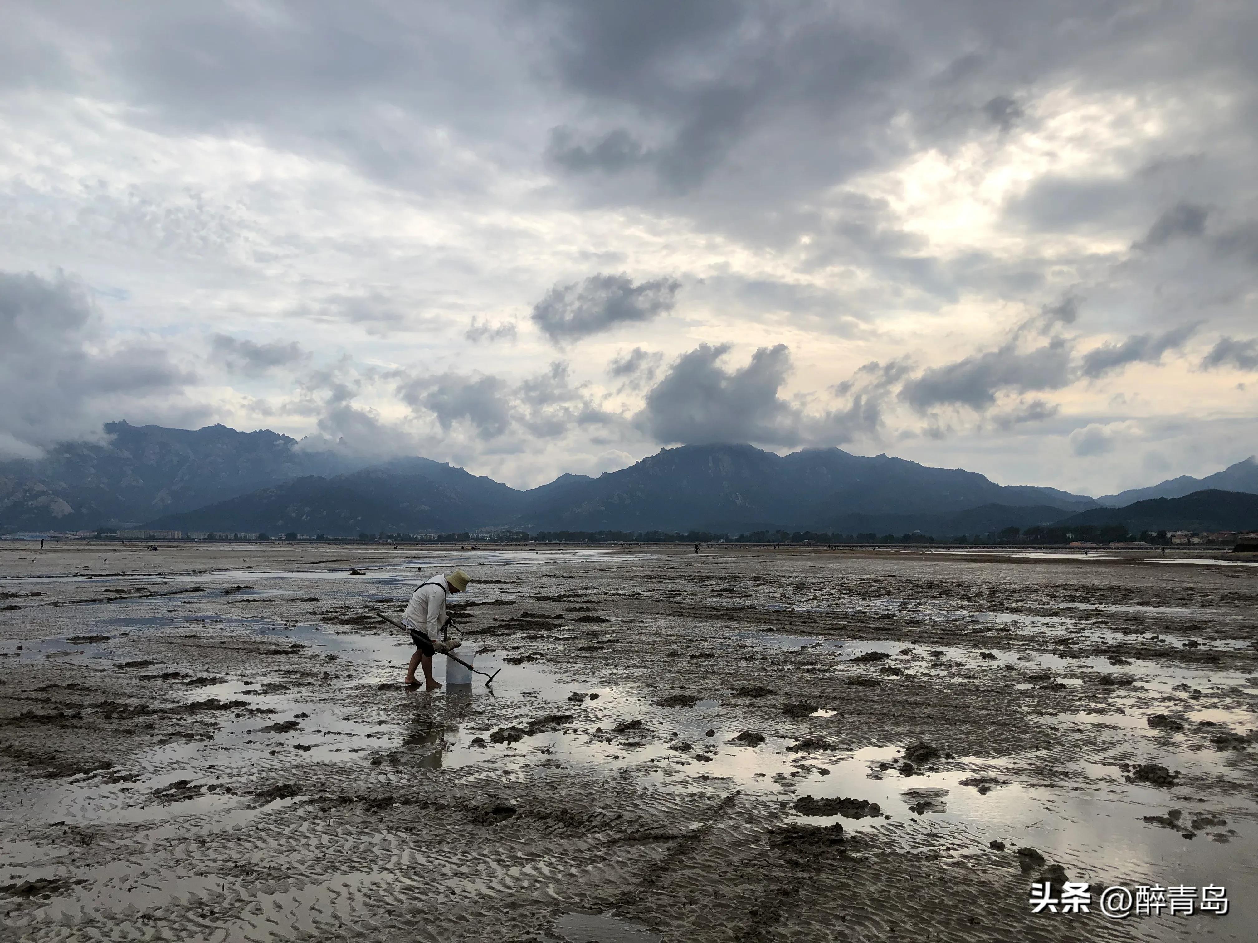 与小海鲜们捉迷藏（篇二）