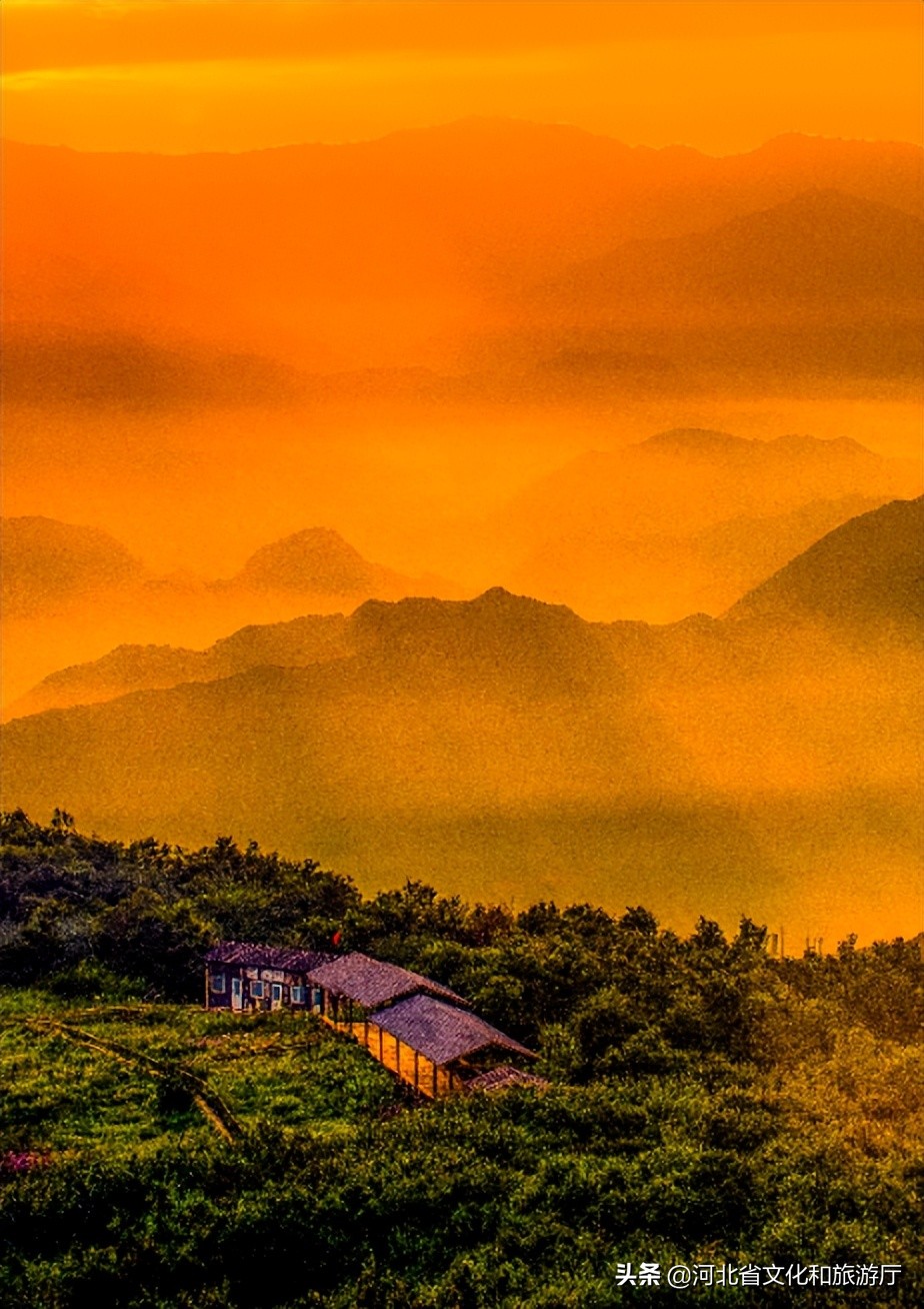 爱丽丝梦游仙境景区,爱丽丝梦游仙境青岛实景