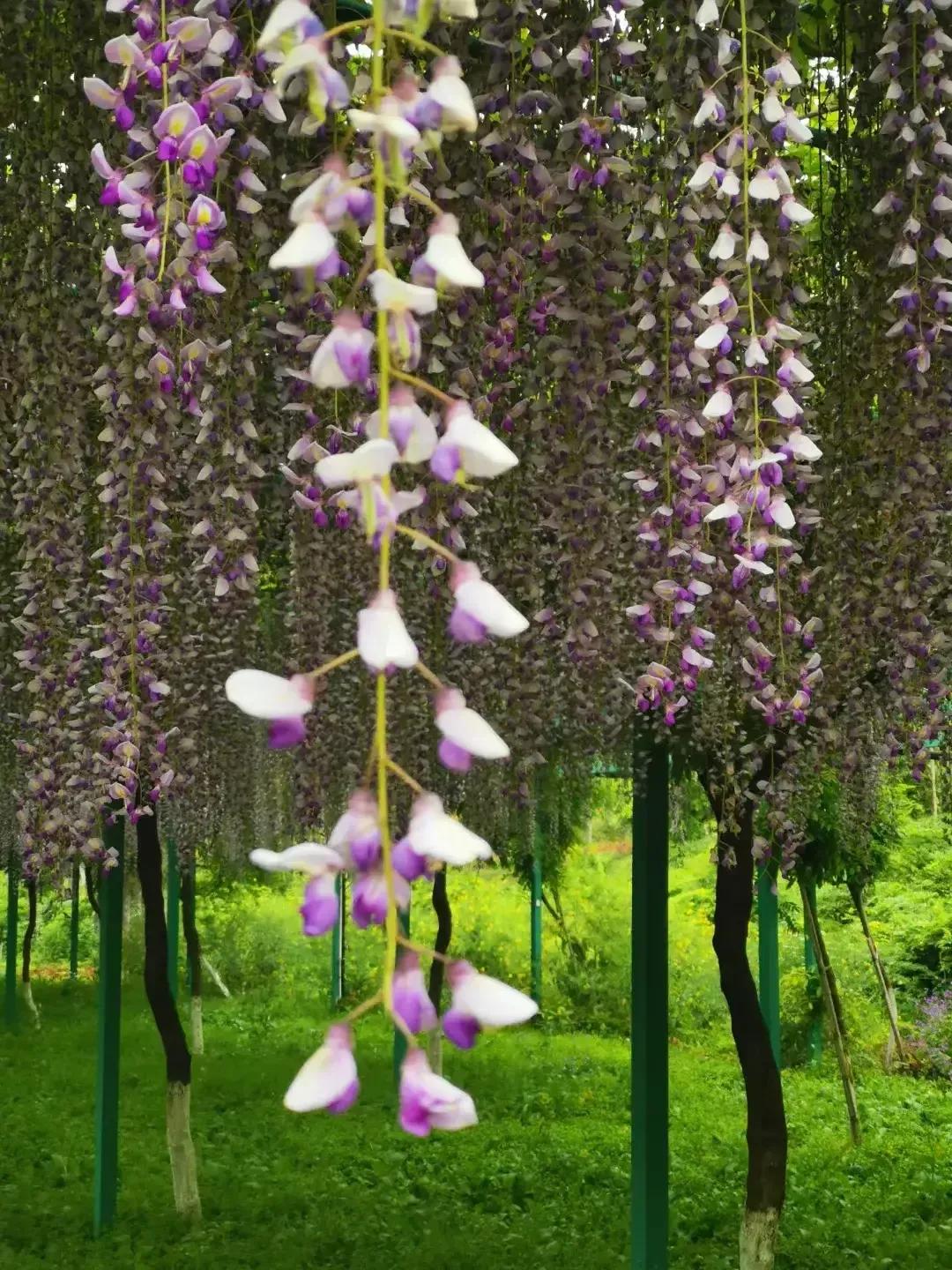 大生意靠什么小生意靠什么,生意火爆的小生意