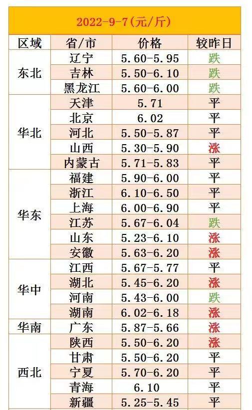 行情突变！9月8日猪价“崩塌预警”，玉米、鸡蛋、油价“太揪心”