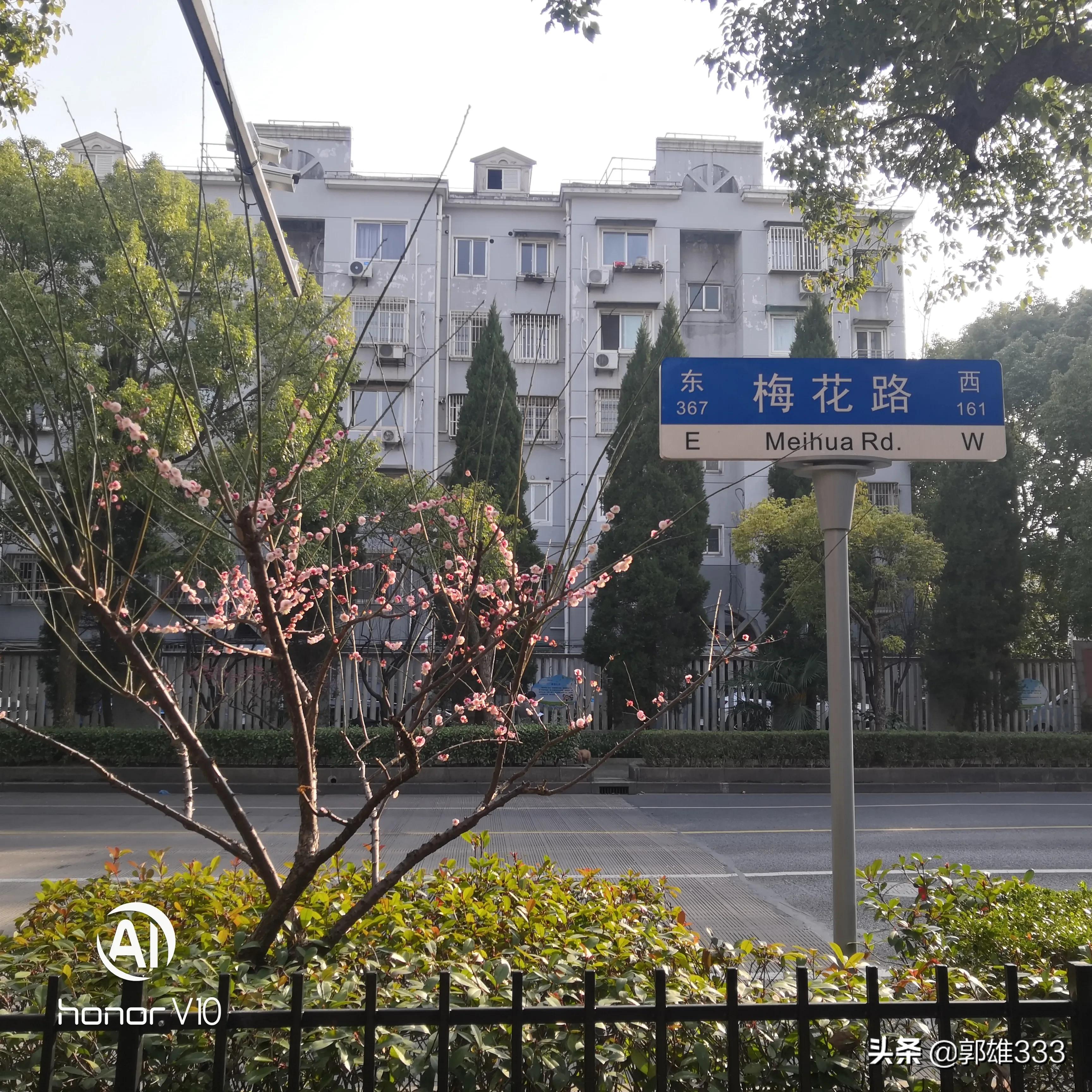 能否让行道树与路名相匹配？