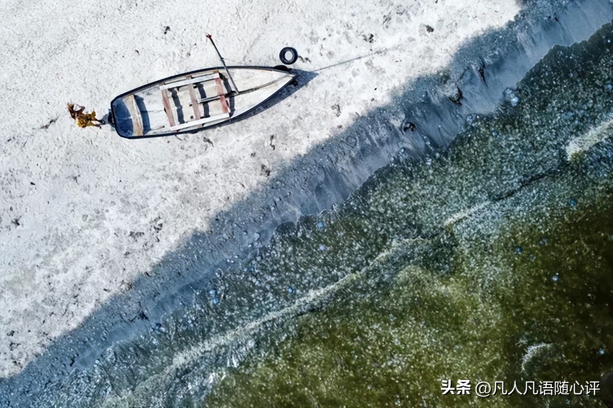 本周照片,本周最佳街拍