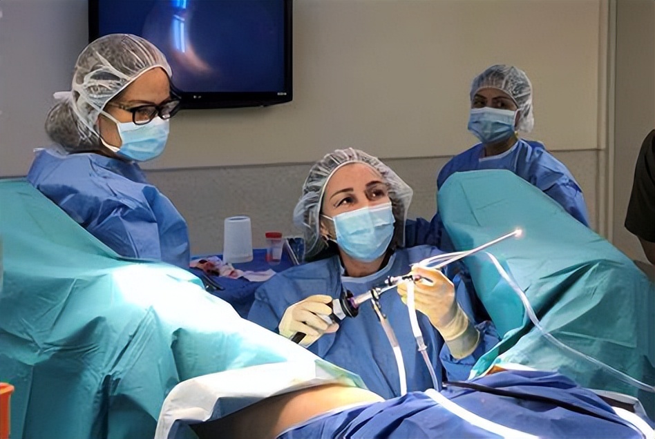 子宫内膜-成功妊娠的秘密*器武**