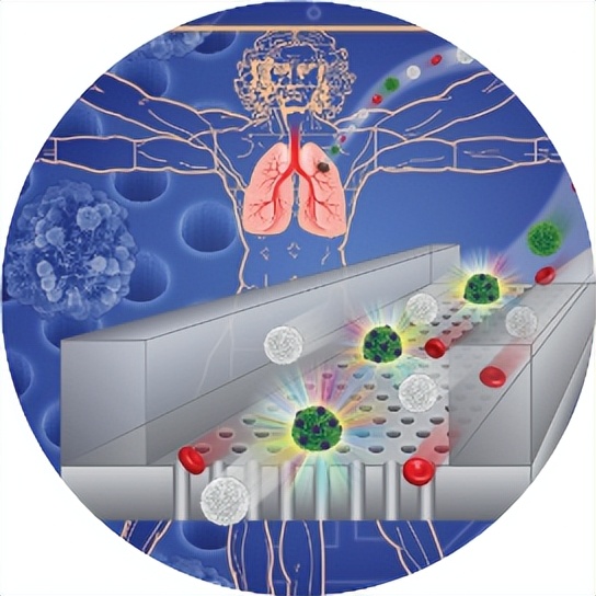 zeta电位分析,zeta电位测试对样品的要求