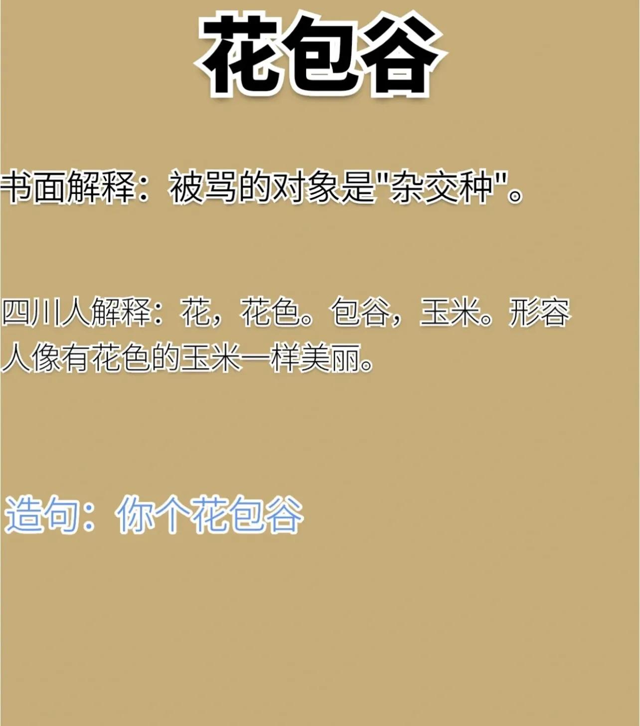 四川话方言看一看,这些四川方言你能听得懂吗