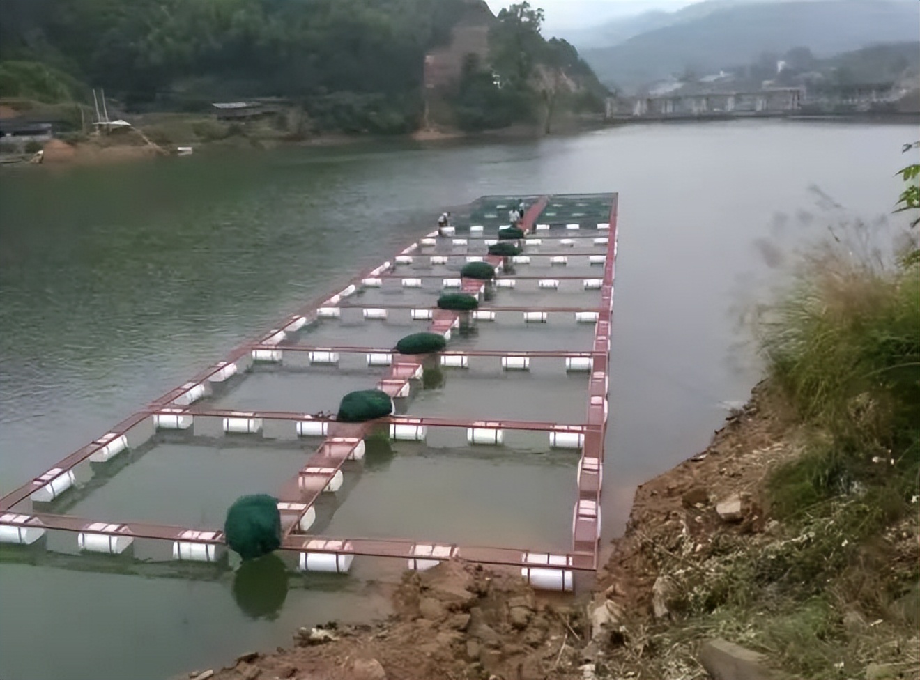 水库养鱼有违规的吗,二级水源保护地养鱼违法吗