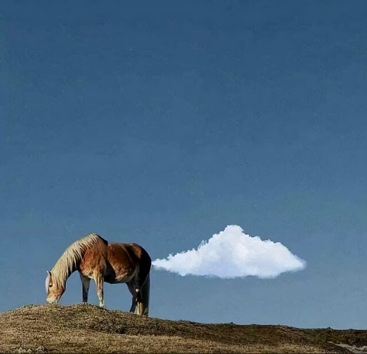 78个真实有趣的照片：山顶的足球场，老树与佛像，老司机脸部皮肤