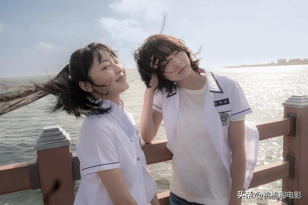 近5年五一档已定档100部新片,五一档八部新片抱团撤档