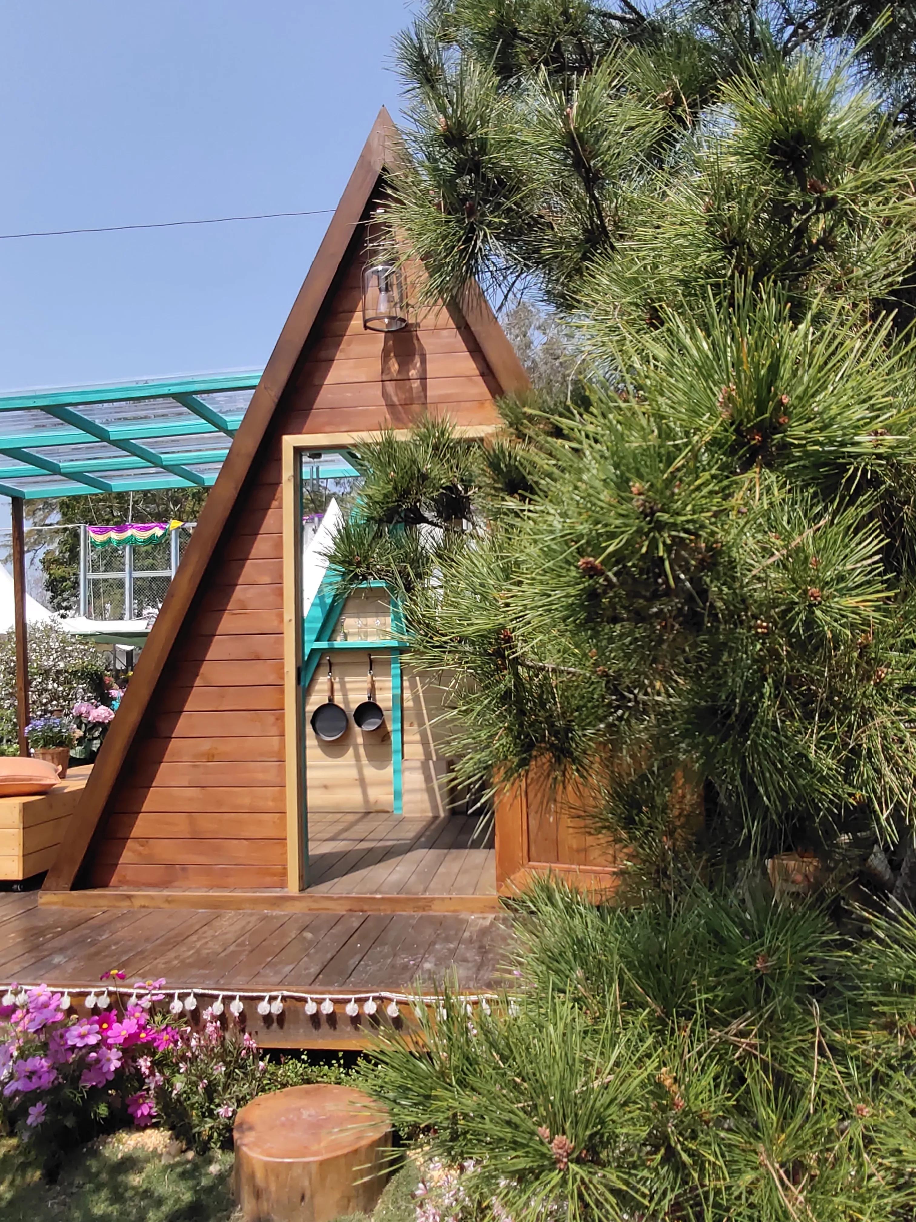 香港参观,参观花展感悟