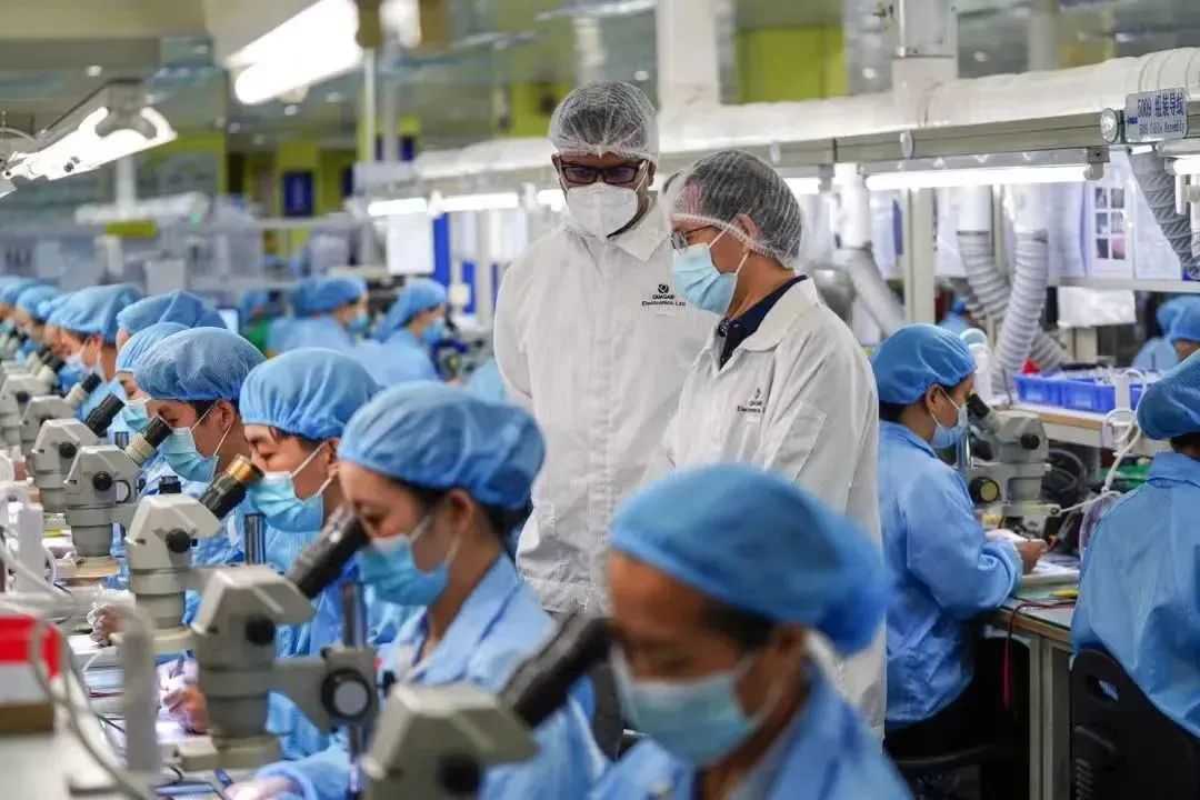 深圳南山区扬帆,深圳南山扬帆