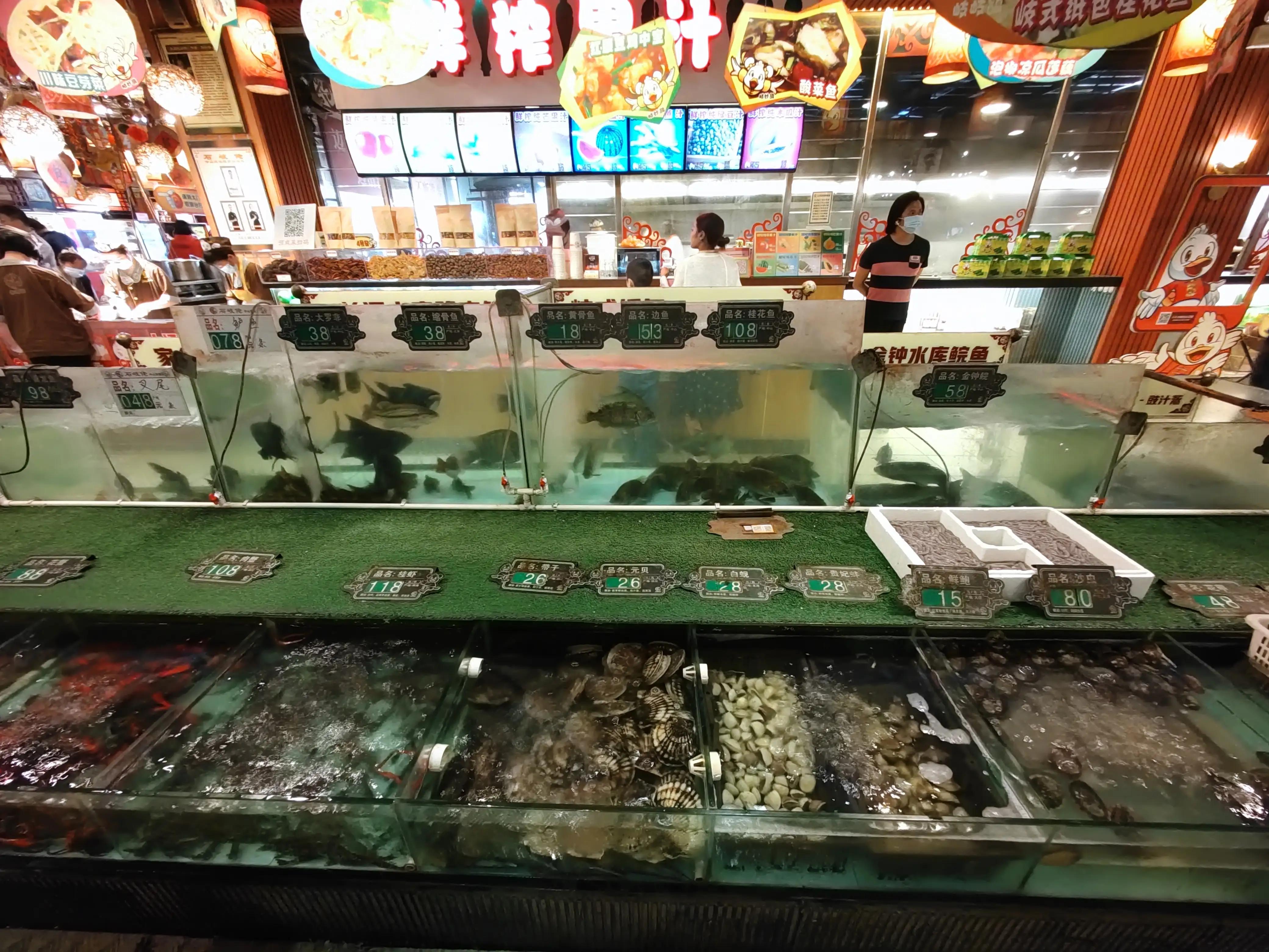 中山石岐佬乳鸽营业时间,中山石岐乳鸽哪家历史悠久