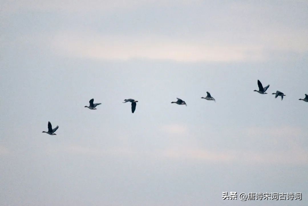 离人心上秋，不见君惟余愁