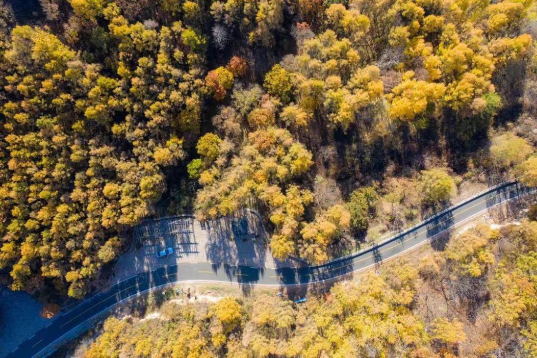 京郊十条醉美公路①|在这3条公路看风景如画不负好时光