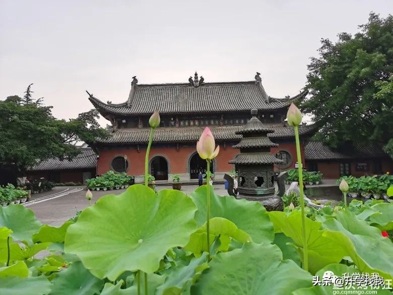 陪读房三室两厅一卫租金1300,潍坊一中附近陪读租房租金多少