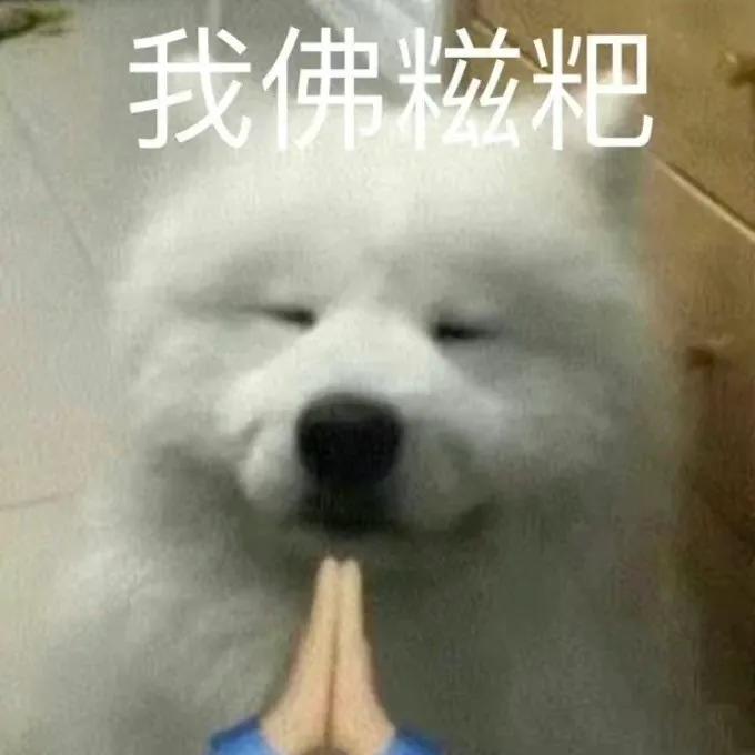 你能拿我怎样表情包自取,表情包你能拿我怎么样