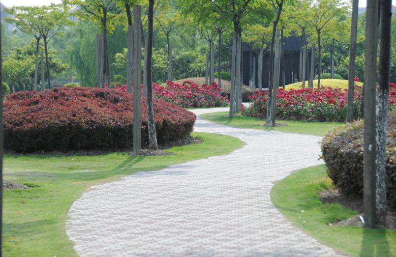 上海一所实力很强的211大学，分数高，但为何不受当地人待见？