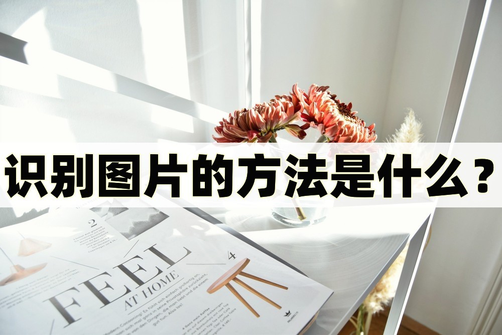 什么软件能识别图片解读,识别日文图片文字软件