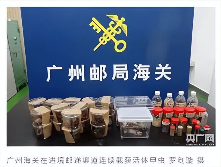 世界地球日｜我们正在和“异族生物*队军**”打一场硬仗