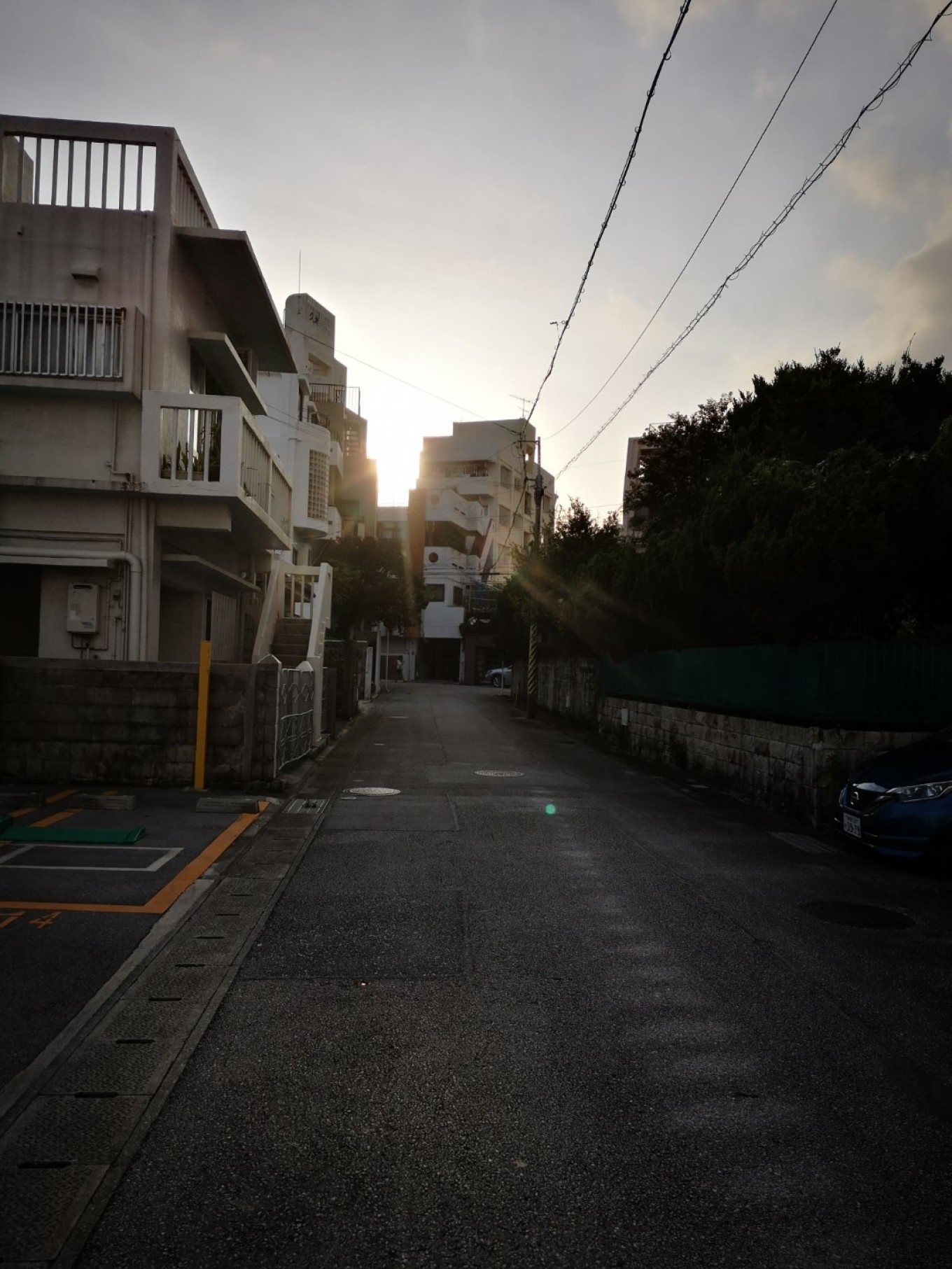 暑期档2019年,2019年暑期档