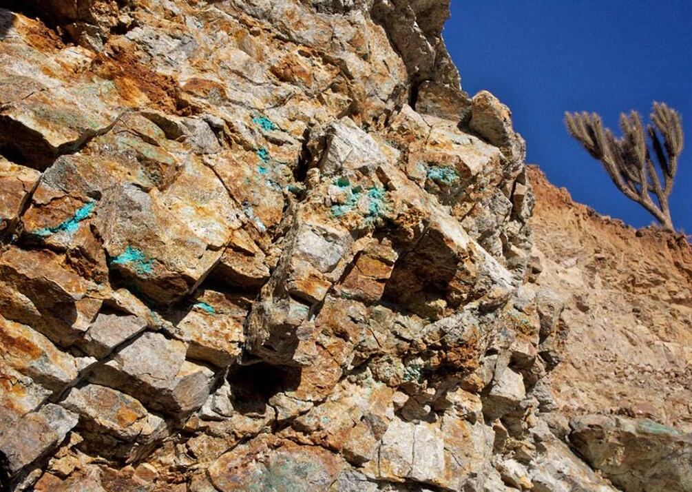 麦卡斯特选珍藏西拉红葡萄酒,麦卡斯特红酒