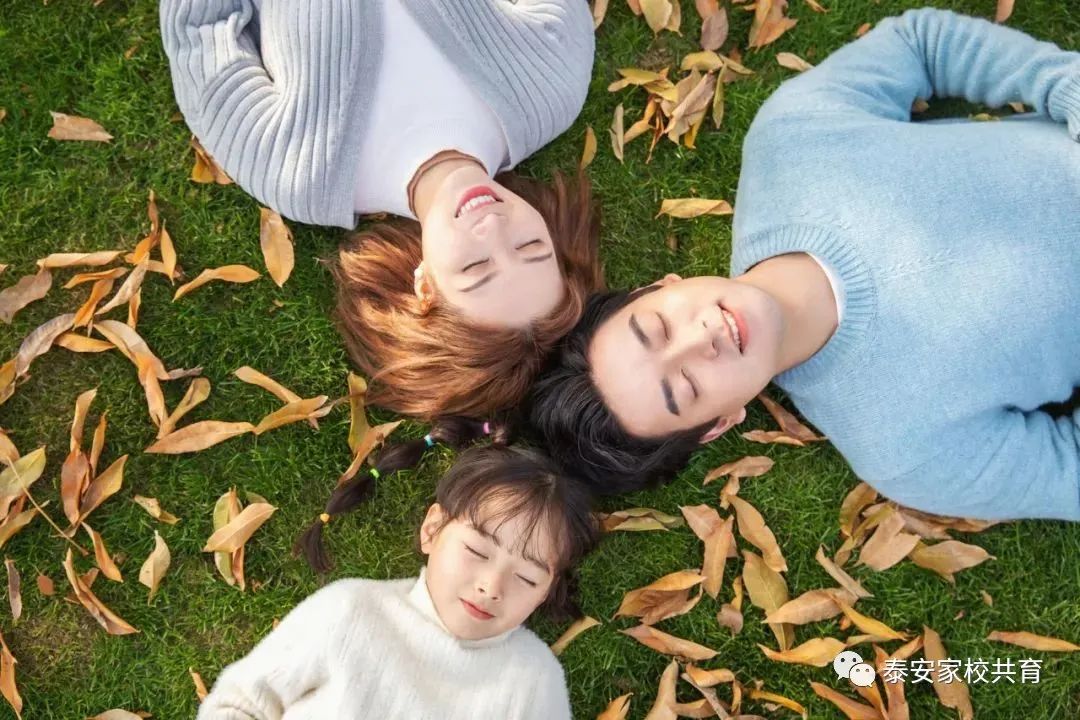 怎样为家长会出谋划策,怎么召开一场成功的家长会