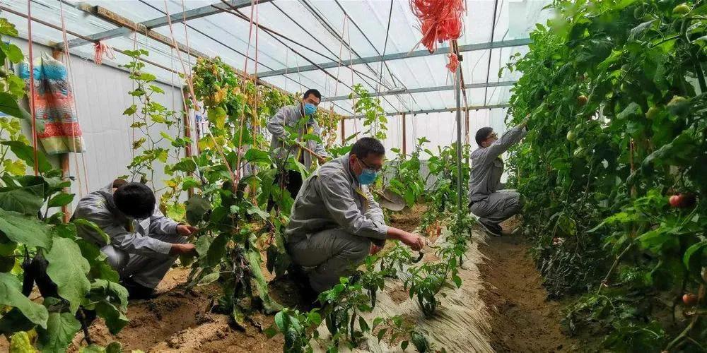 30个农村创业项目,农村创业50个项目农民该怎样创业