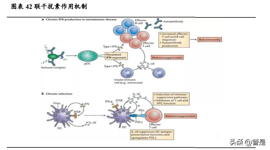 特宝生物乙肝最新研究,特宝生物乙肝治愈药