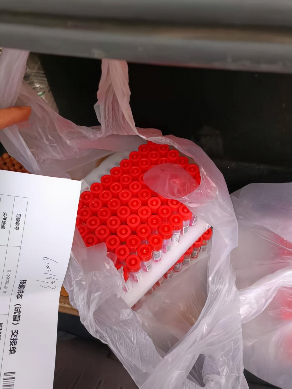 “战疫行动”为你守护，与你同行——蓉橙出行