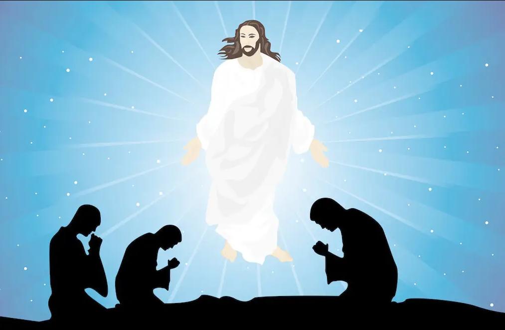 科学家发现的上帝指纹,科学家发现造物主