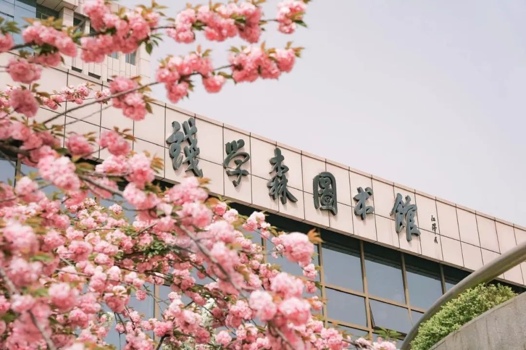 当千年长安,遇上百廿交大!西安交通大学:雨润风暖盛唐景,且待君同览!