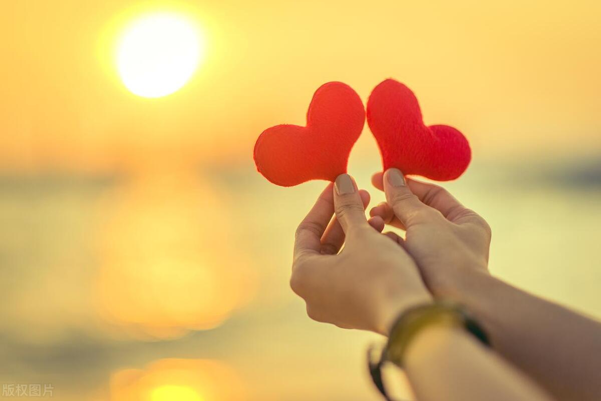 雨中的诗大全,雨夜的诗篇