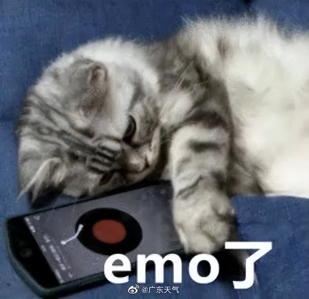 湛江人注意！暴雨套餐已发货！蹚水小心惹“毒”上身