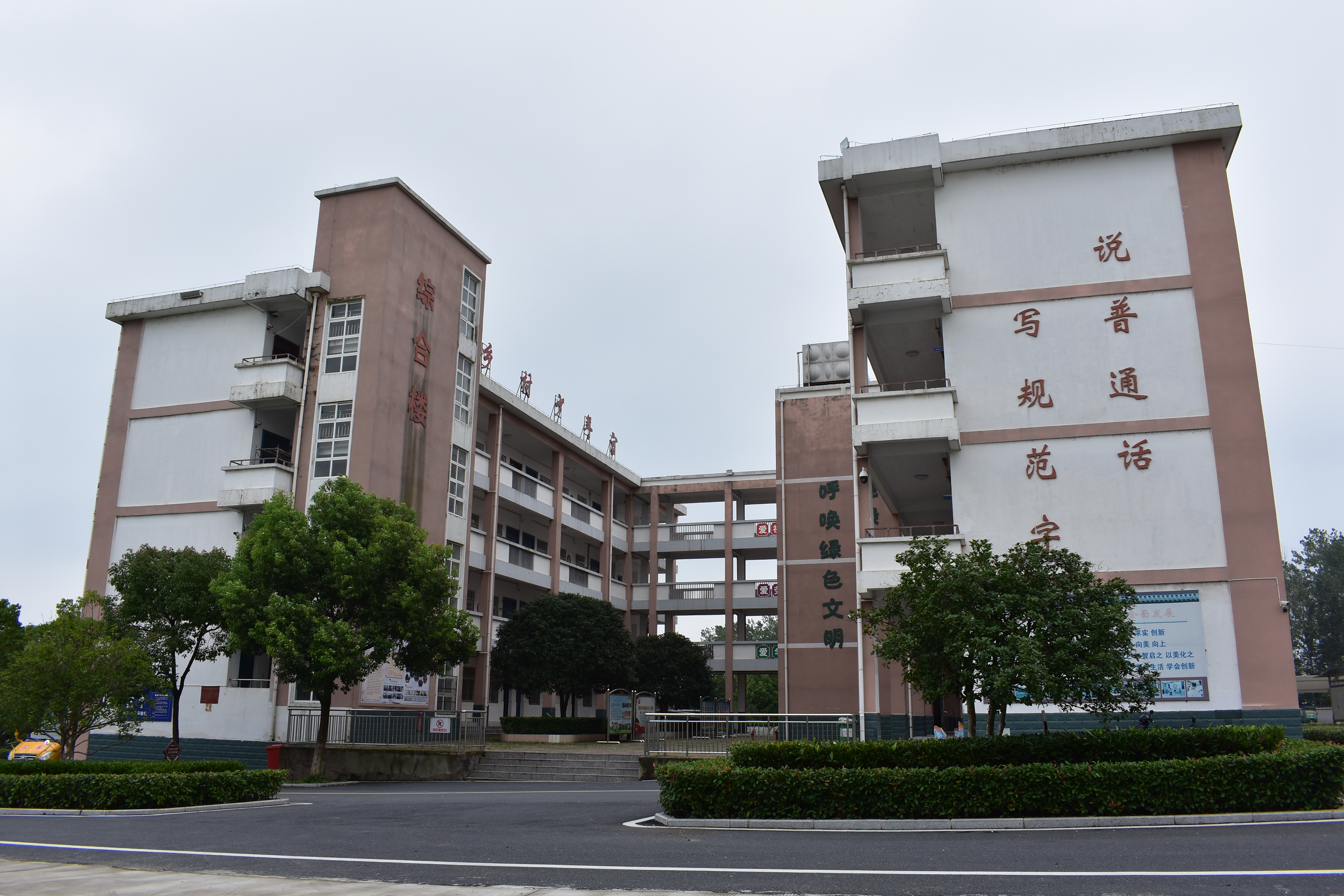 柿树岗乡中心学校新闻,合肥肥西柿树岗乡小学