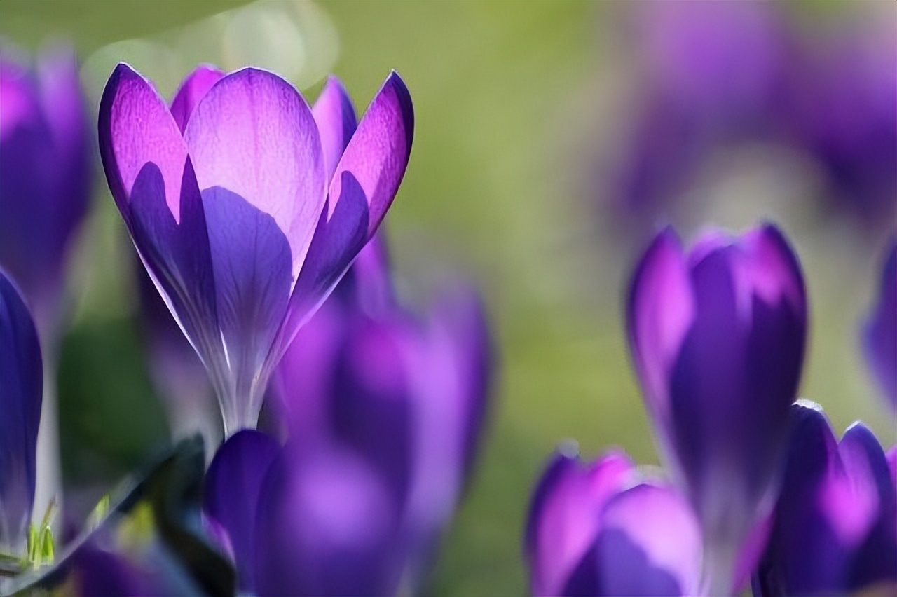 如果遇到了此生真爱会有感应吗,如果遇到一个真爱你会怎样