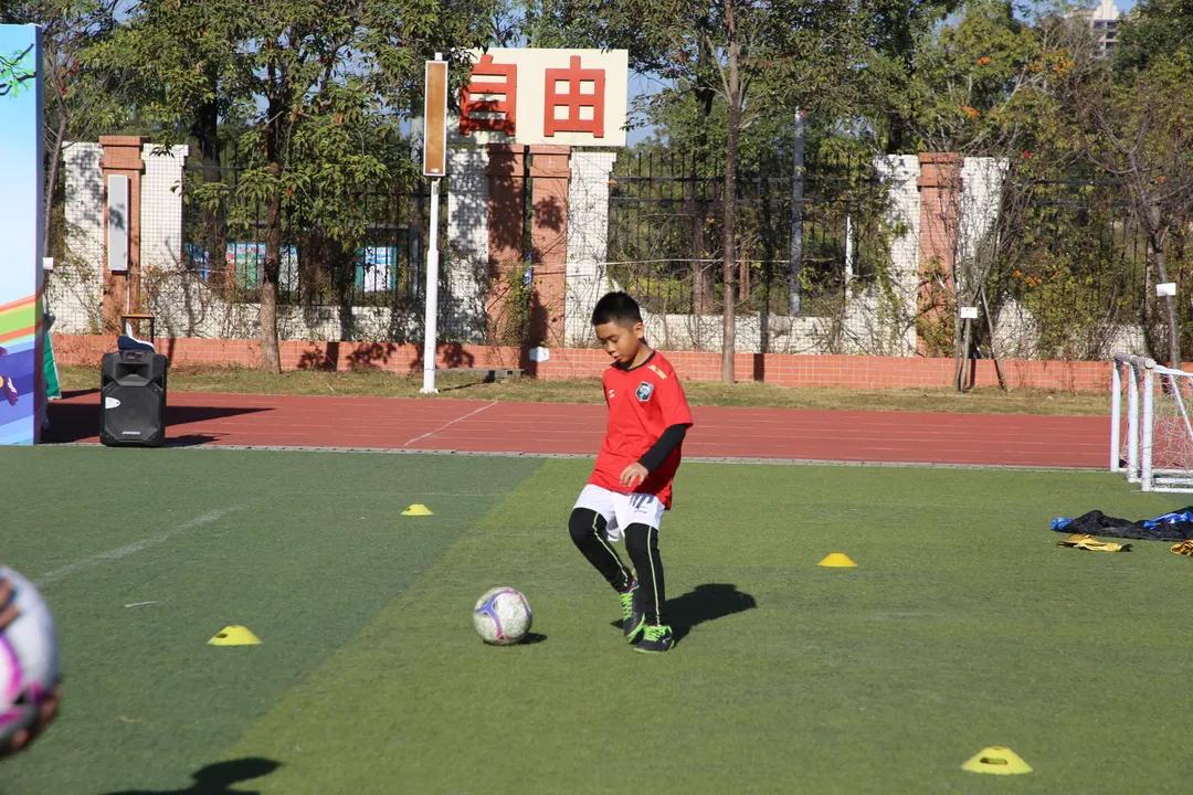 我为群众办实事学习教育主题活动,我为群众办实事教育视频