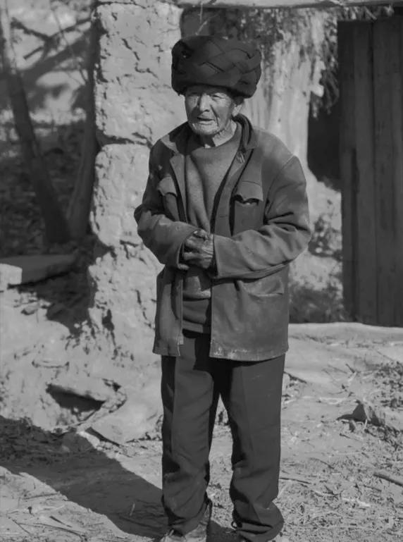 红杉树电视连续剧,红杉树下的小说