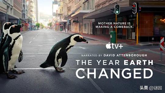 亲子互动纪录片大全,适合儿童看的自然界纪录片