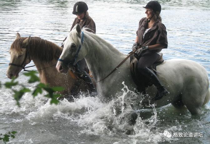 为什么达芬奇是世界上最好的画家 (达芬奇为什么能成为神奇的画家)