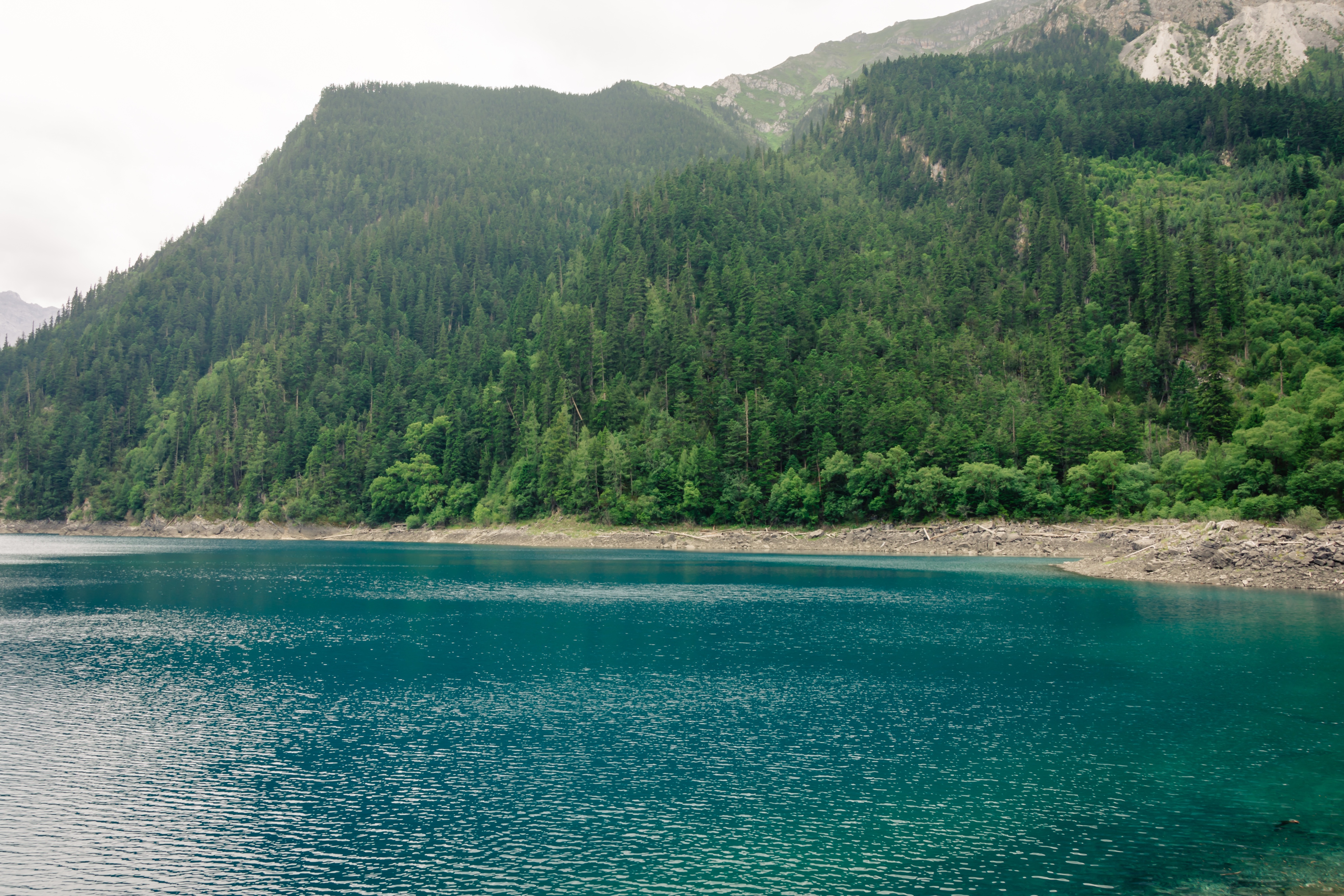 九寨沟彩林秋季最佳观赏时间,10月3日能看到九寨沟彩林吗