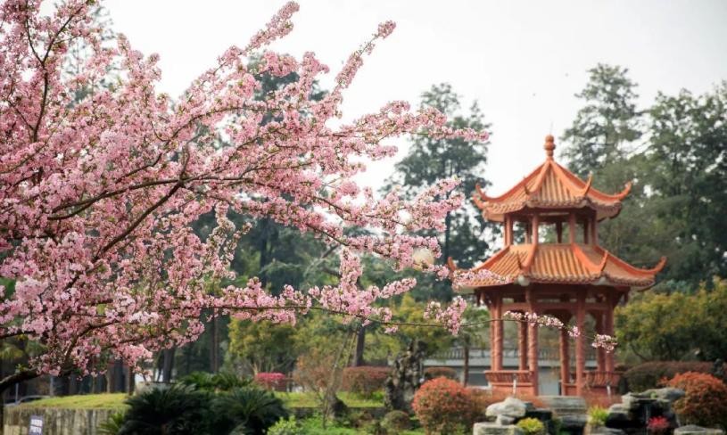 肝癌最新科研成果,2022中国患肝癌人数