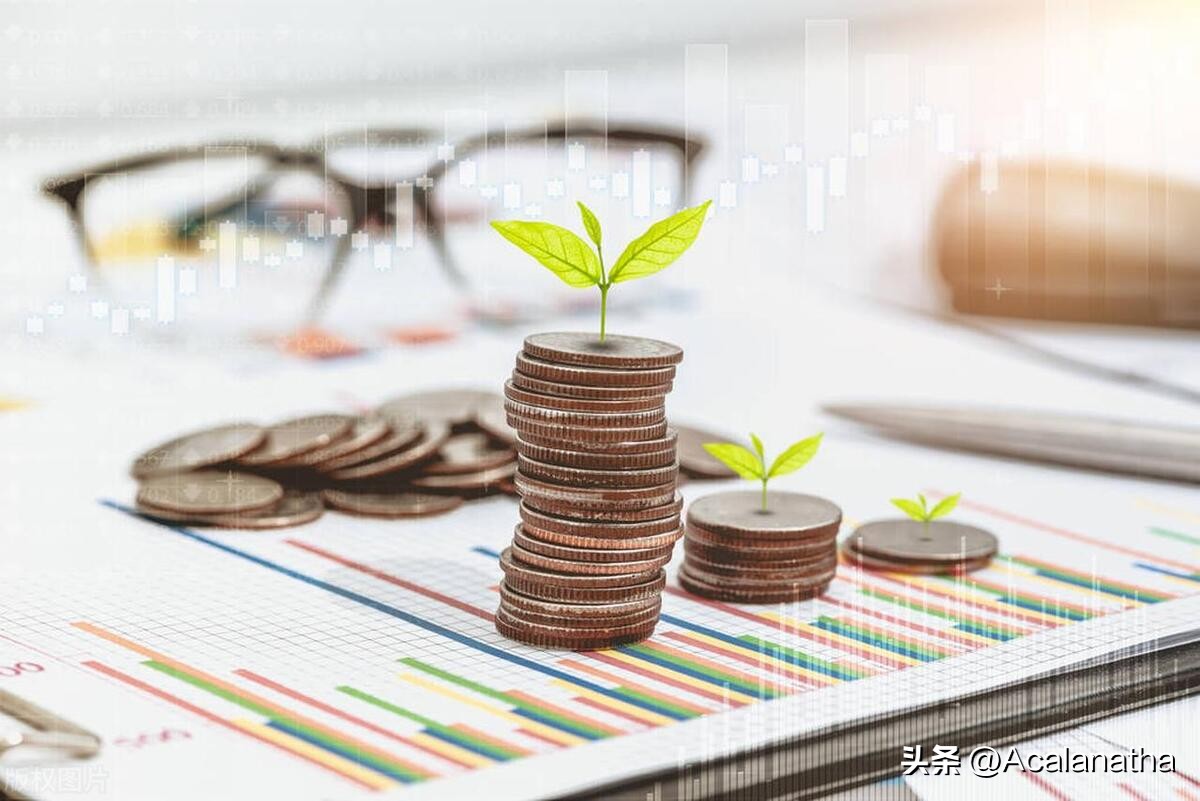 走进财务管理专业,财务管理专业细分