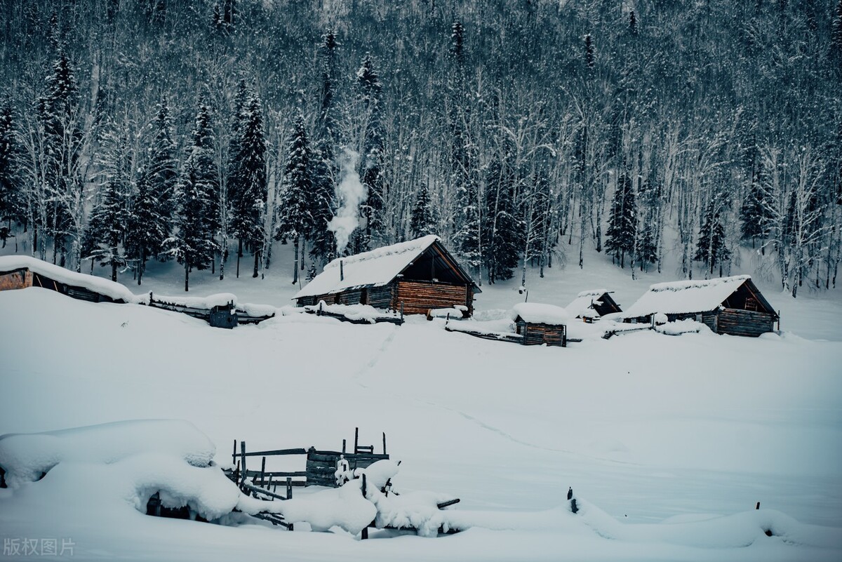摄影新手入门选哪几款镜头,初学摄影镜头挑选