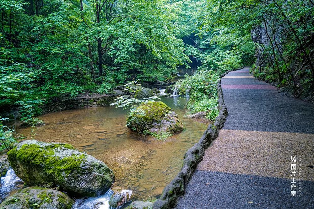 商洛打造中国康养之都金字招牌,中国康养之都商洛