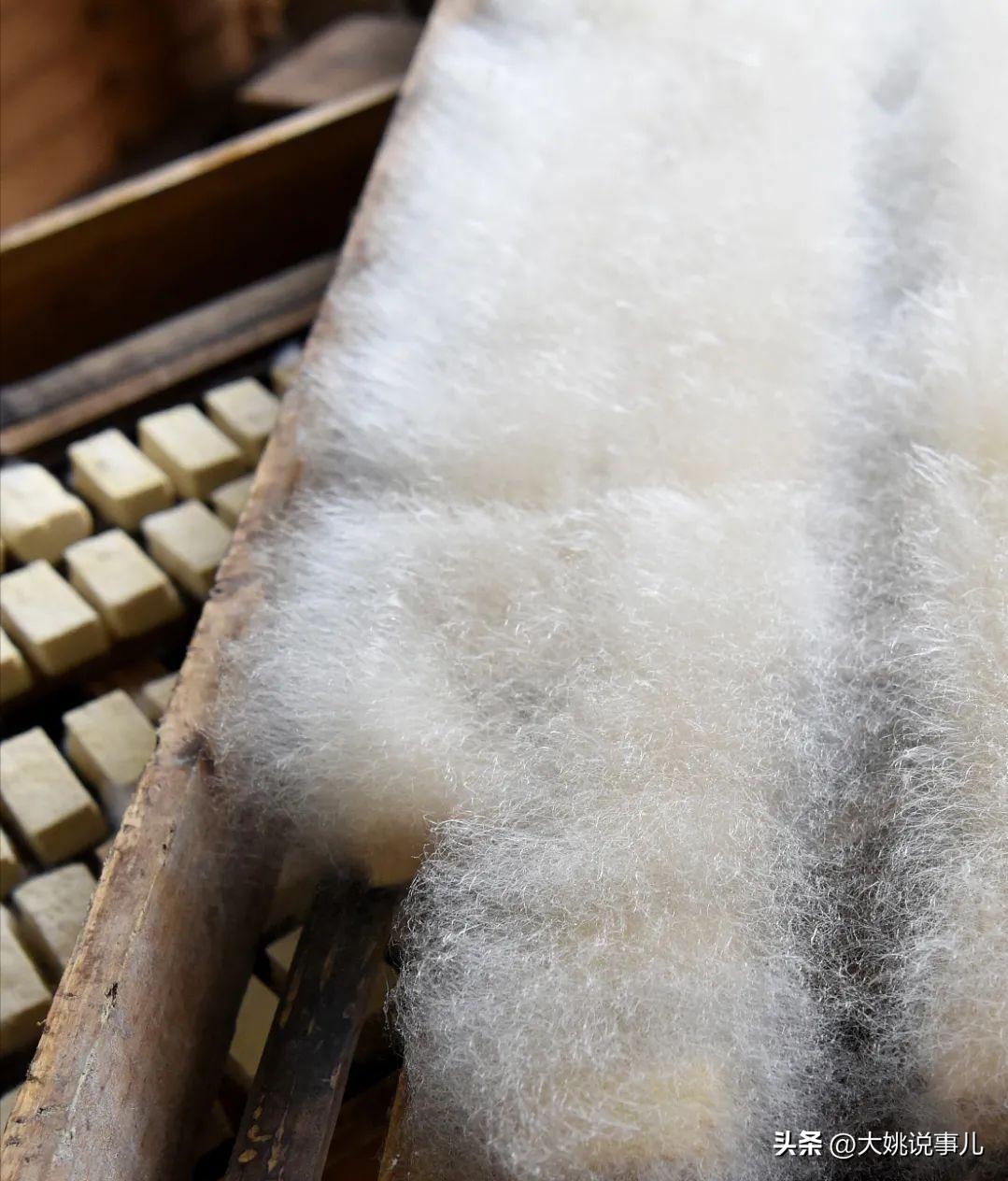 臭豆腐是拿屎发酵的吗,自制的臭豆腐有害吗